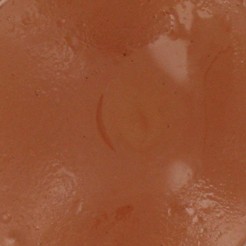 Crème de cirage SAPHIR - NOISETTE - Les cireurs